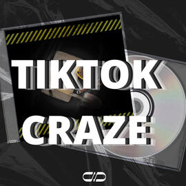 TIKTOK CRAZE PLAYLIST
